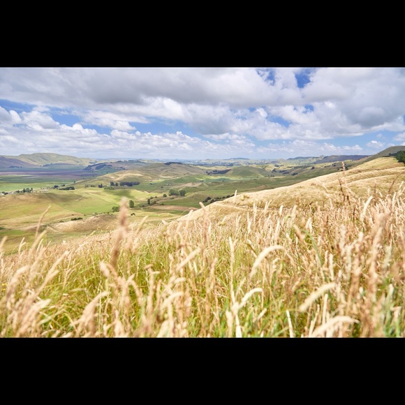 Meet your Posher, PaliLali112 - Picture 1 of 1